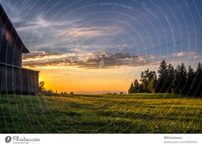 Sunset in Bregenz, Eichenberg Austria Nature Landscape Horizon Sunrise Summer Caution Serene Calm Colour photo Exterior shot Twilight Light Shadow