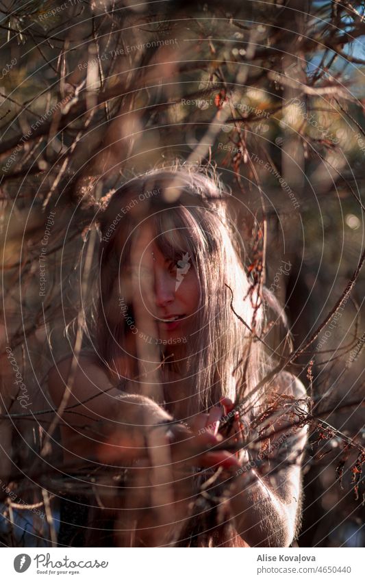 portrait of a girl in a forest woman Pine Forest pine Looking into the camera looking at camera Portrait photograph fairytale scenery sunlight outside Beautiful