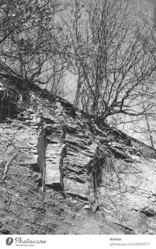 Crash hazard | at the ass of the world Fracture point Steep peril Rock Dangerous Threat Tall Worm's-eye view Erosion weathering black-and-white Earth