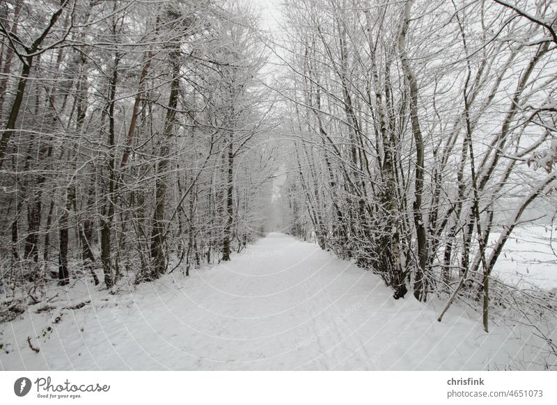 Forest path in winter with much snow off forest path Winter Snow Ice Landscape Frost trees Winter forest Winter mood Winter's day Cold Nature Snow layer