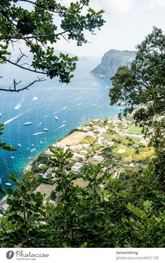 sea view, Capri, Italy Ocean Vantage point Water coast bank Island Beach Summer Sky Horizon Green Blue variegated foliage leaves Nature Landscape