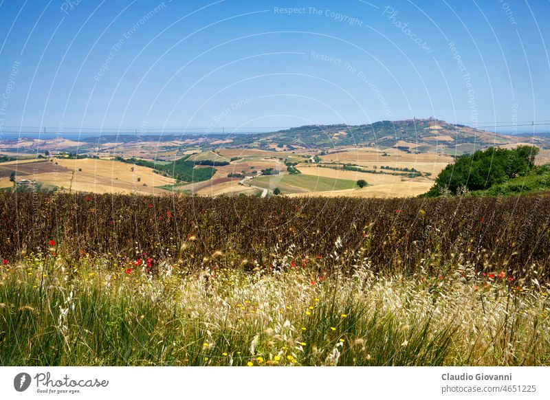 Rural landscape in Molise, Italy, at June Campobasso nature sunny country rural