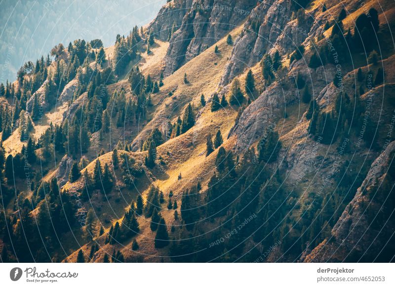 Mountain slope in the sun in the mountains of South Tyrol Panorama (View) Central perspective Deep depth of field Silhouette Contrast Light (Natural Phenomenon)