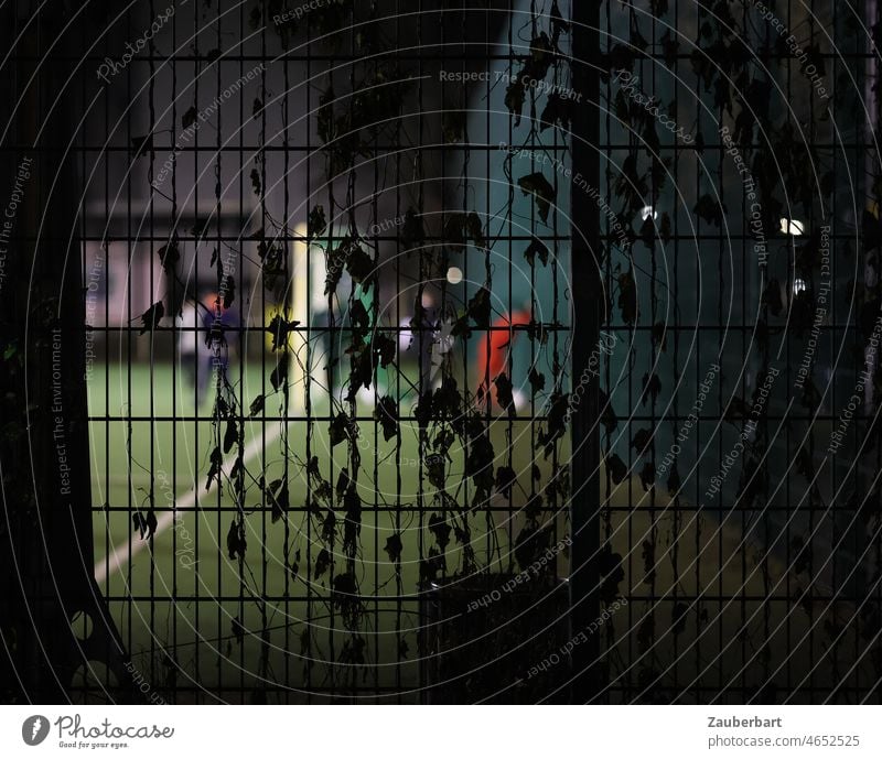 View of illuminated soccer field at night with shadowy players through fence with leaves Foot ball Football pitch Fence Night Floodlight Player Lawn Goal