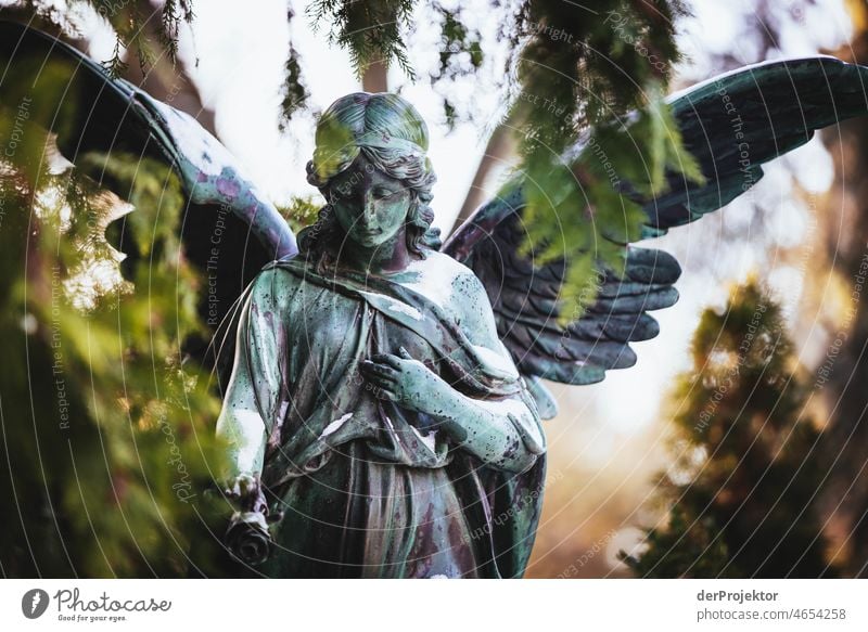 Angel in cemetery in winter II Exceptional Esthetic Contrast Light Morning Deserted Copy Space middle Copy Space top Copy Space bottom Exterior shot