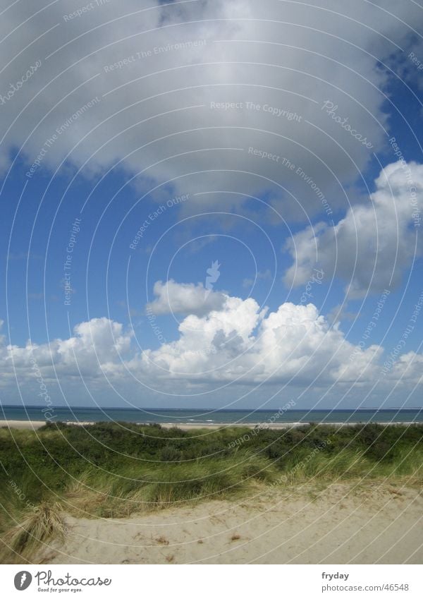 on the north sea coast ... Lake Coast Ocean Beach Clouds Bad weather North Sea Sand Beach dune Sky