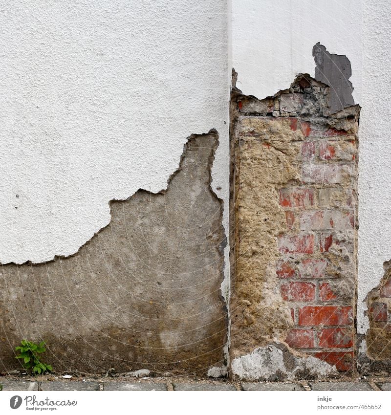 Tooth neck caries | Wall Deserted Ruin Wall (barrier) Wall (building) Facade Stone Concrete Brick Old Broken Decline Transience Change Destruction Flaked off