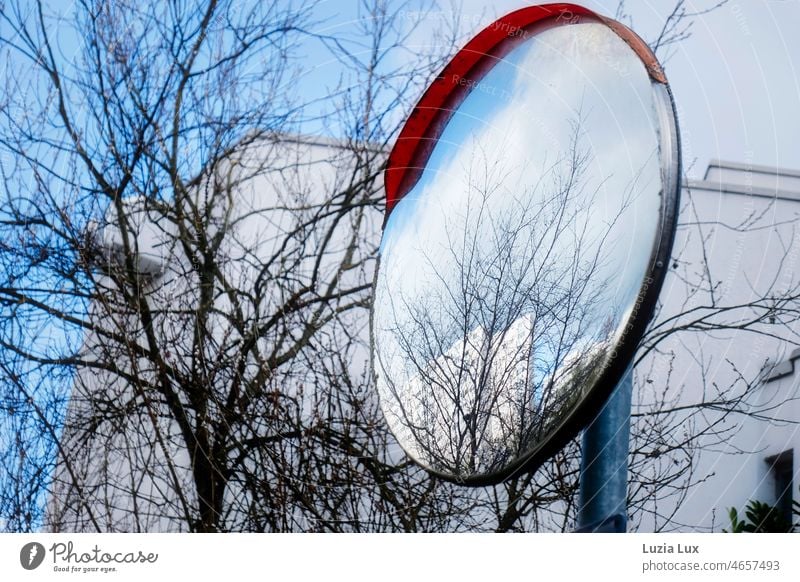 Skyscrapers and blue sky, reflection Mirror Blue view into the sky Bleak branches Round bare branches sunny cloudy Town urban bare trees