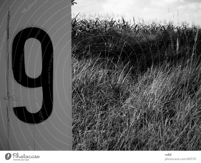 Rhine - Number Nine Cologne Field Digits and numbers 9 Kilometer Watercraft Bonn Promenade Black White Nature Stone Measure Service nine River Coast Contrast