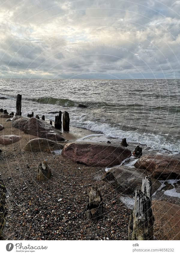 Baltic beach Baltic Sea Beach Sand stones Ocean Clouds Sky Horizon Waves Covered cloudy Sun behind clouds vacation holidays Landscape wide Wood Water Air items