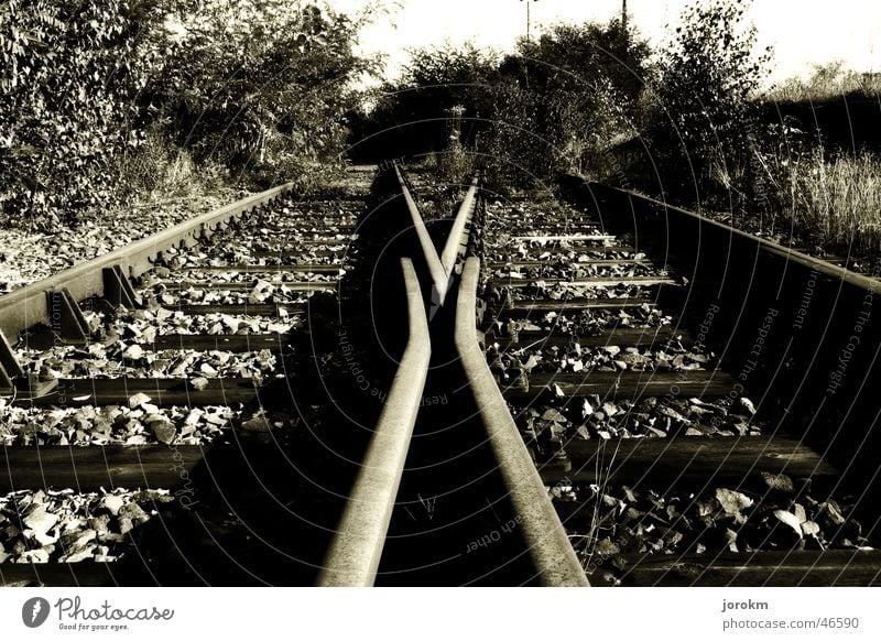 Where does the way lead ? Railroad tracks Direction Calm Multi-track Black & white photo Train station Switch