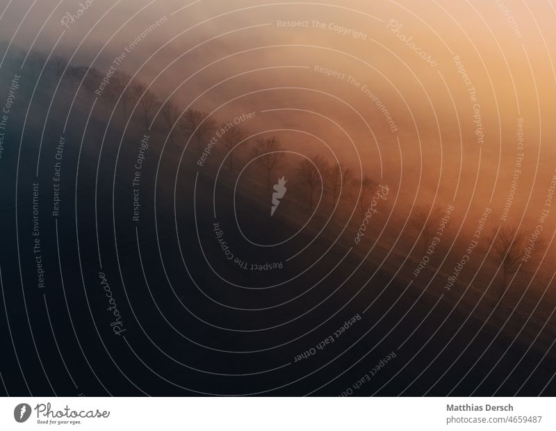 wafts of mist Fog Shroud of fog Misty atmosphere foggy Morning Nature Landscape Exterior shot Dawn Autumn Moody UAV view droning drone