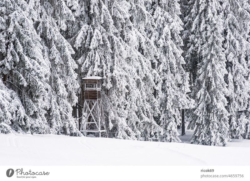 Landscape in winter in Thuringian forest near Schmiedefeld am Rennsteig Winter Snow Thueringer Wald Ansitzeinrichtung hide Tree Forest Nature Hunting Blind