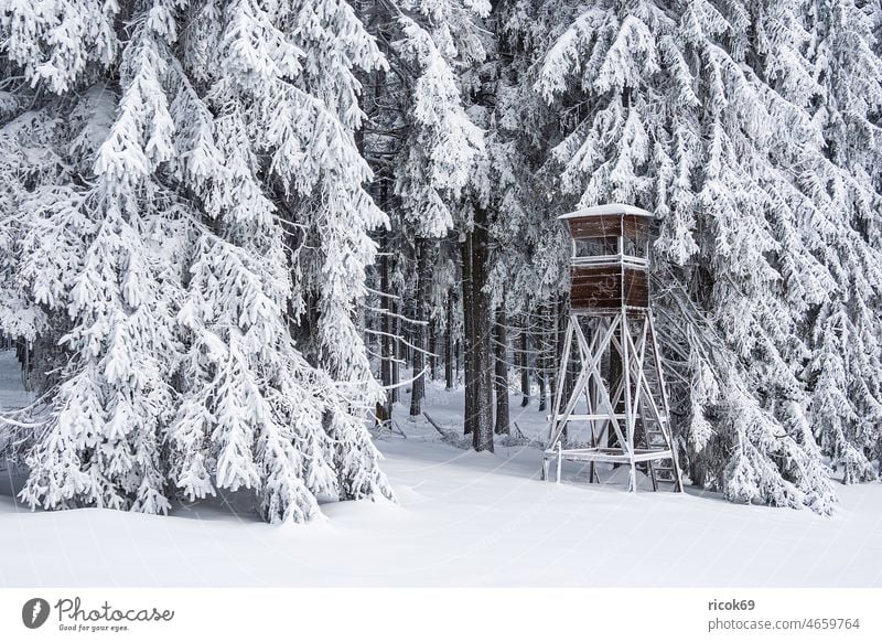 Landscape in winter in Thuringian forest near Schmiedefeld am Rennsteig Winter Snow Thueringer Wald Ansitzeinrichtung hide Tree Forest Nature Hunting Blind