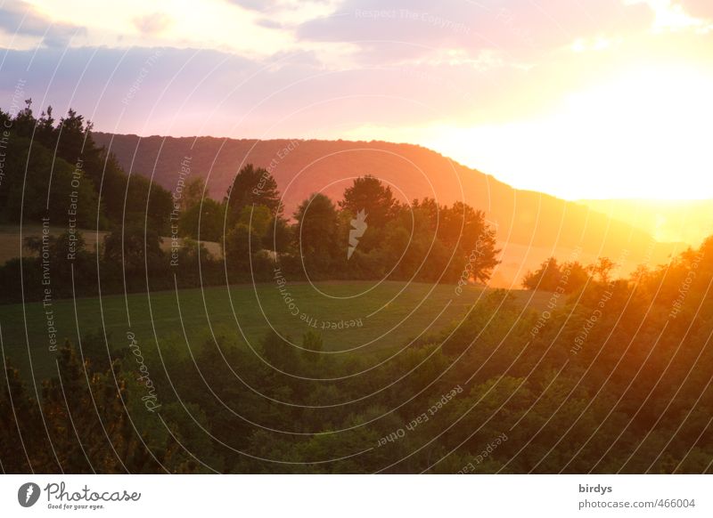 Sun-day Nature Landscape Sunrise Sunset Sunlight Summer Beautiful weather Tree Meadow Forest Mountain Illuminate Positive Warmth Warm-heartedness Calm Hope