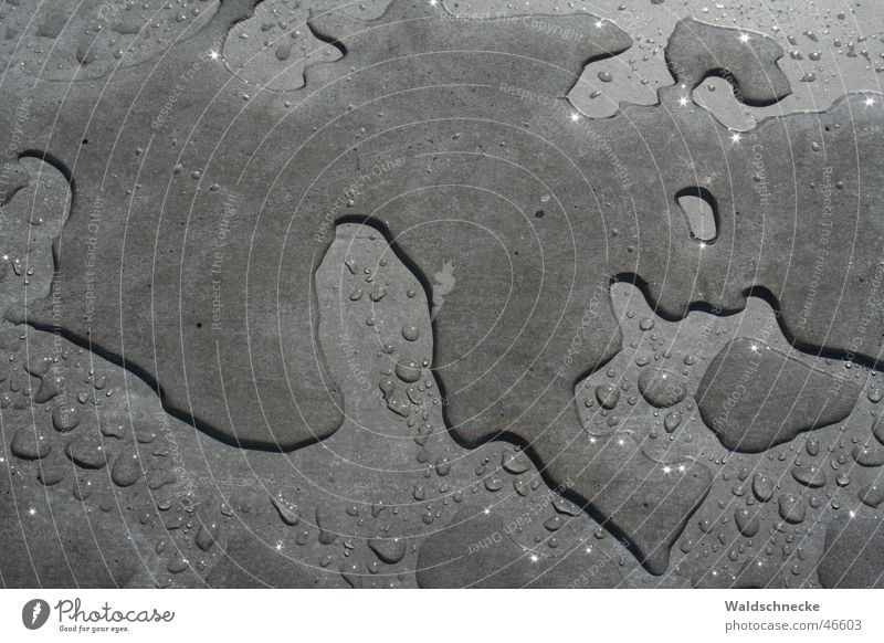 After the rain.... Holocaust memorial Gray Monument Water Drops of water Sun Glittering