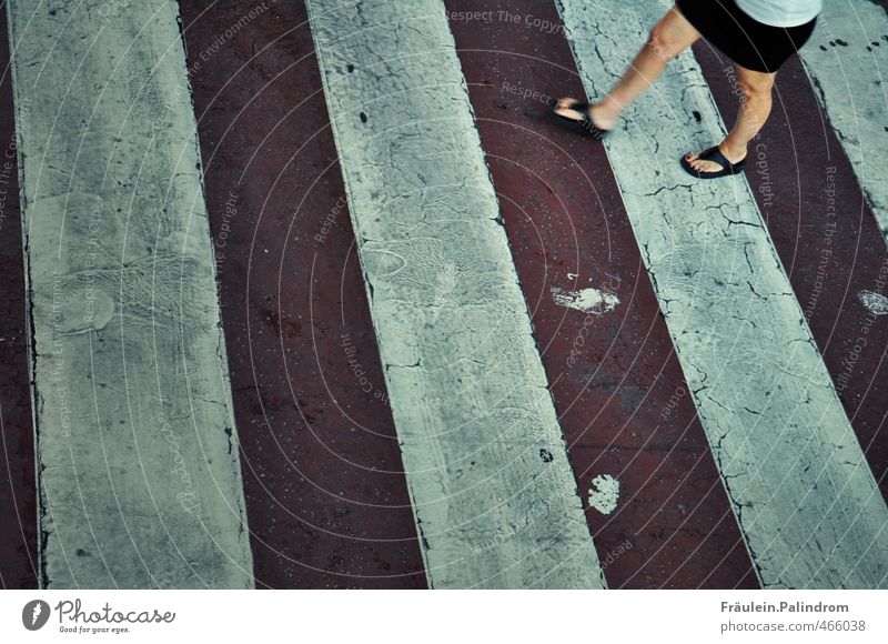 freshly painted! Feminine Woman Adults Legs Feet 1 Human being Traffic infrastructure Road traffic Pedestrian Street Crossroads Car Skirt Movement Going Speed