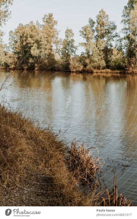 Riverbank landscape River bank riverside Environment shore Nature Landscape water Tree nature Exterior shot Reflection Forest Lake Beautiful weather Deserted