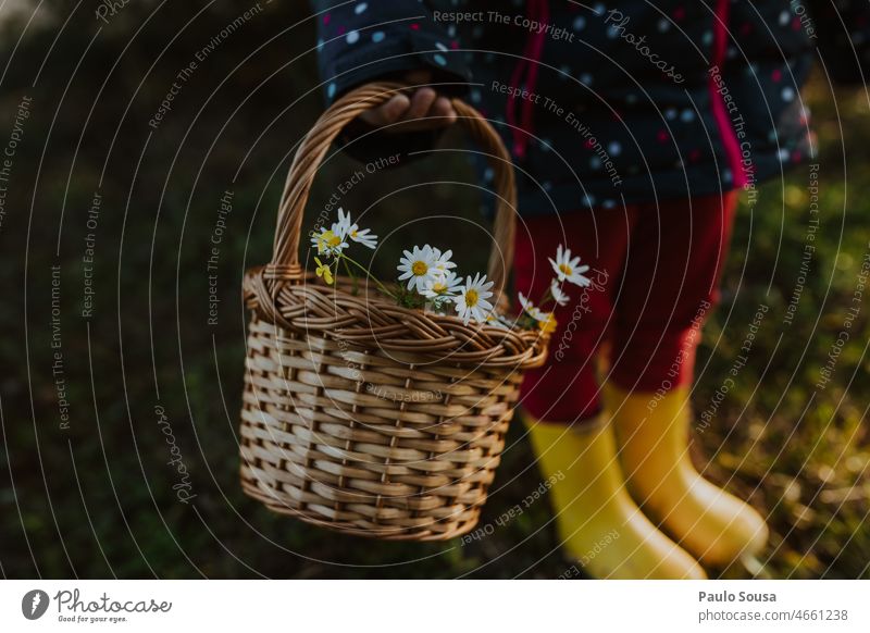 Child holding wicker basket with wild flowers Wicker basket Basket Wild plant holiday Spring Spring flower childhood colorful Nature Flower Blossoming naturally