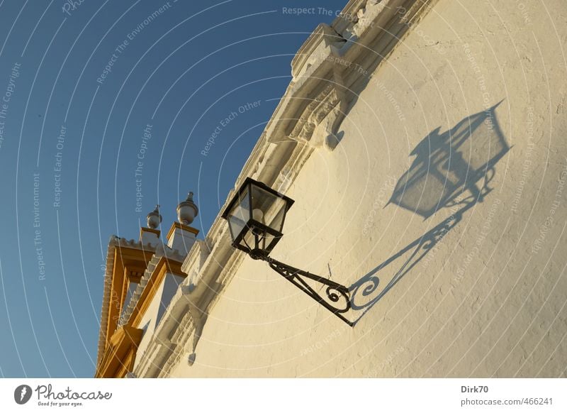 Animal rights activists turn away Vacation & Travel City trip Sports Bullfight Sporting Complex Bullring Tradition Beautiful weather Seville Spain Andalucia