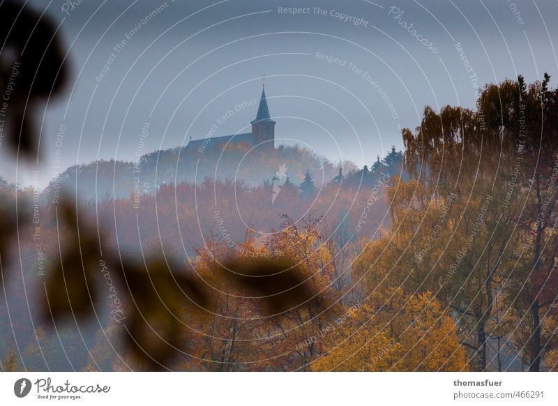 Sleeping Beauty Castle Trip Far-off places Mountain Hiking Nature Landscape Animal Sky Horizon Autumn Fog Tree Bushes Park Forest Hill Franconia Bavaria Church