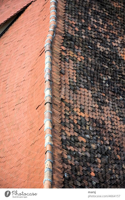 Split views, of a tiled roof in the old town. Roof Tiled roof divided views controversial Architecture Building Roofing tile House (Residential Structure)