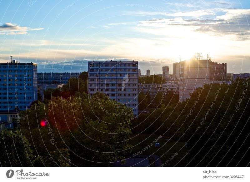 haneu Sunrise Sunset Sunlight Tree Park Building Architecture High-rise Facade Stone Concrete Old Historic Blue Brown Gold Past Luxury Living or residing