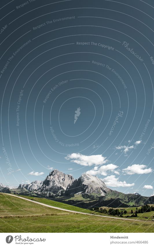 Actual cultural landscape [portrait] Sky Clouds Beautiful weather Grass Meadow Forest Hill Rock Alps Mountain Peak Dolomites Seiser Alm Lanes & trails Stand