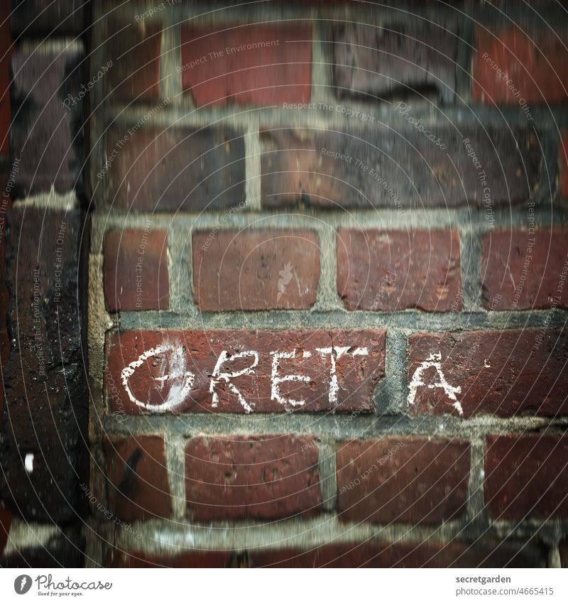 fridays for future greta Name Graffiti Water Brick focused Climate activist Chalk Daub maiden name Colour photo Demonstration Climate change Environment