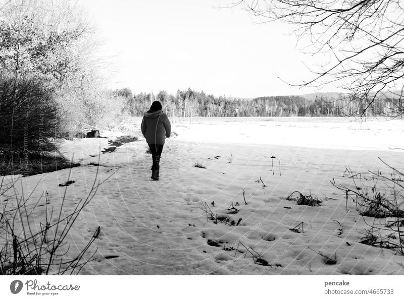 nordic walk Winter Snow To go for a walk Relaxation Cold Nordic Frost Nature salubriously Air Fresh off path Landscape winter landscape person Winter walk