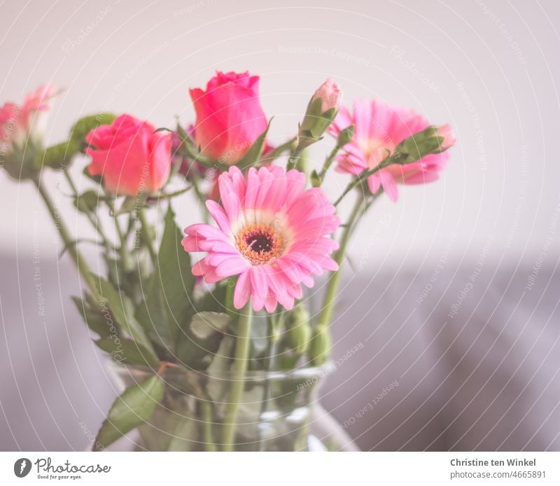 Roses, gerberas and carnations for Valentine's Day roses Gerbera Bouquet Vase pink Pink Gift Blossom pretty Birthday Mother's Day just like that Love cloves