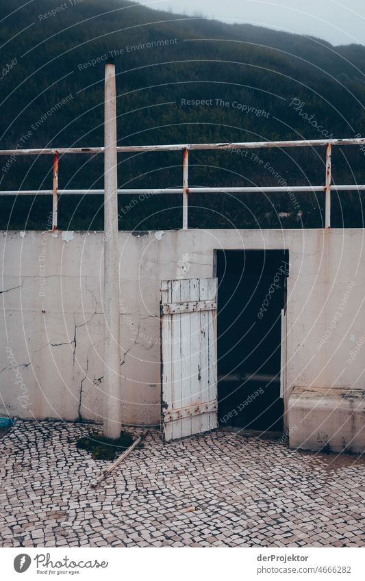 Abandoned "Pools of São Pedro de Moel": view of an open door Force of nature Experiencing nature Copy Space middle Structures and shapes Contrast Reflection