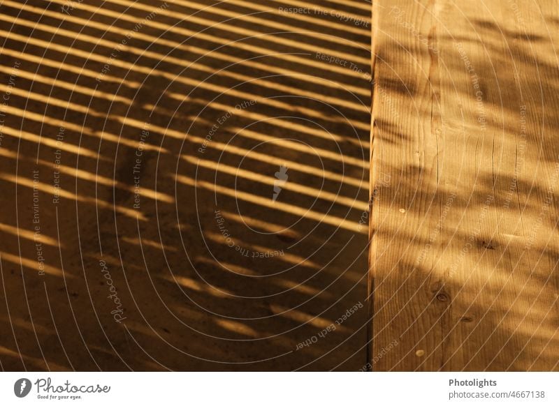 A balcony lattice casts shadows on the floor and the wooden bench Wood Ground Bench Wooden bench Warm light Warm colour Shadow Light Sun Deserted Exterior shot