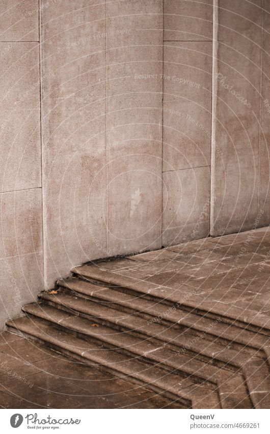 Stairs next to empty facade Facade Building minimalism Forest Architecture Stage stair treads Structures and shapes Barrier accessibility Minimalistic