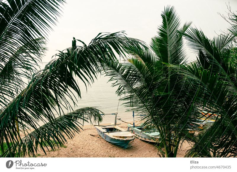 Fishing boats on the beach between palm trees Asia Beach palms Water Ocean Tropical tropics vacation coast