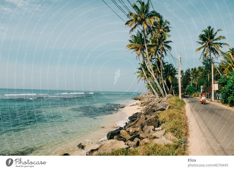 Palm trees, sea and beach next to a coastal road. Tropical paradise. Ocean Beach tropics Vacation & Travel Sandy beach Sky Blue Paradise Empty Exotic Landscape