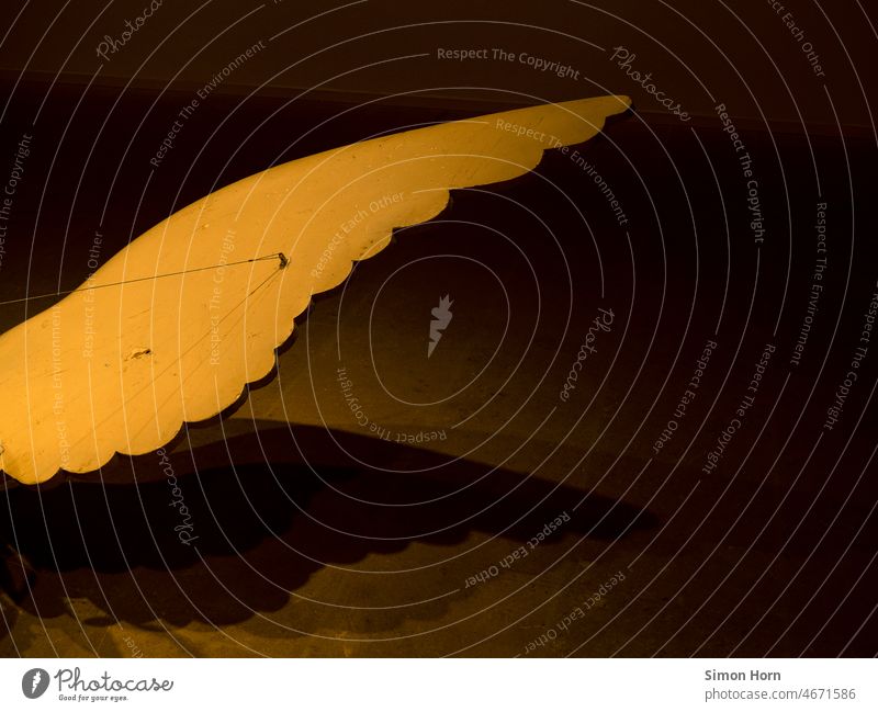 Wings in golden light Grand piano Bright spot Gold Flying Departure Angel Mechanical buoyancy Shadow shape Road marking light source Expulsion air blast