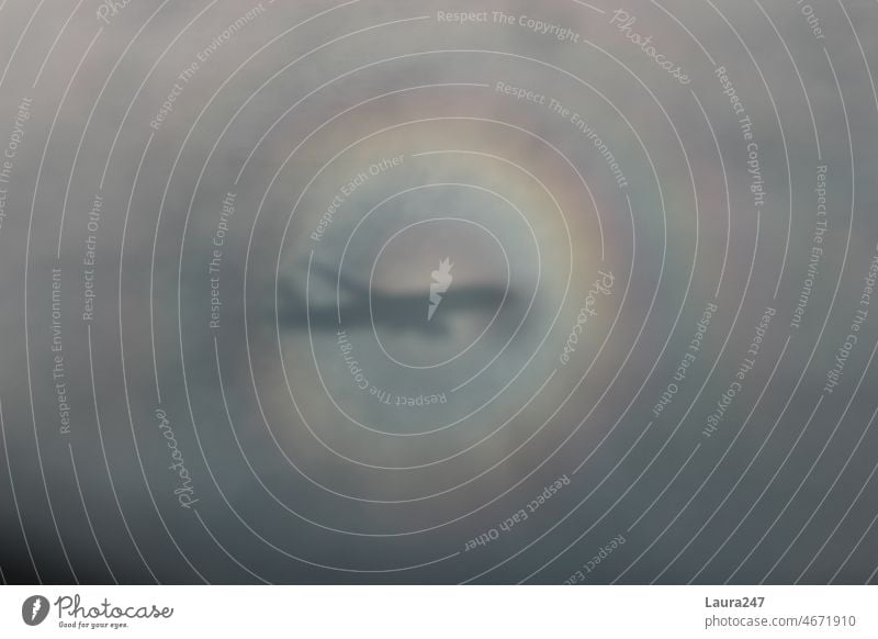 Round rainbow around shadow of airplane Airplane Rainbow Halo Natural phenomenon Clouds Shadow Circle variegated Gray Light Sky