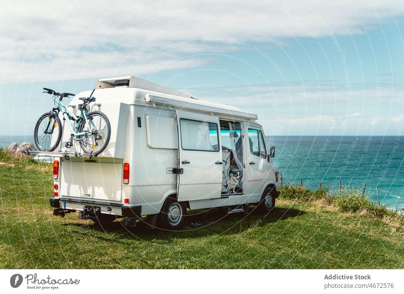 Purebred dog sitting in trailer on coast of sea van rv camper border collie road trip travel adventure holiday car pet summer transport nature caravan domestic