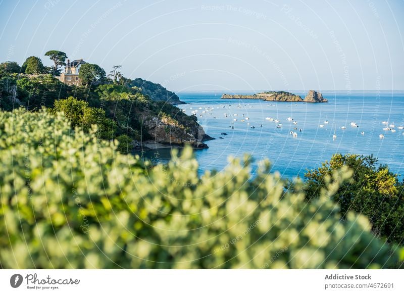 Boats floating on sea near shore with green plants coast vessel boat nature water waterside stone seaside seashore waterbird summer aqua rocky waterfront grassy