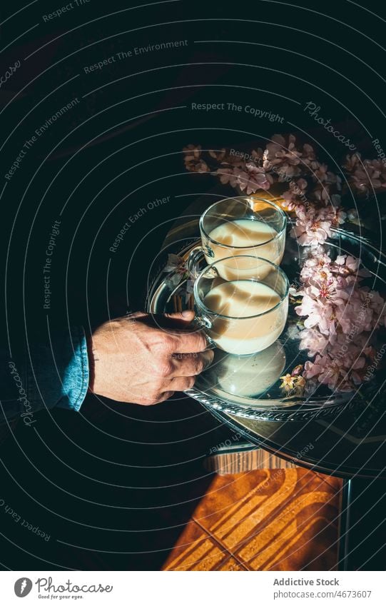 Unrecognizable person reaching for cup of tea with milk hot drink beverage flower branch serve teatime floral plant glass tray twig blossom tasty room sunlight