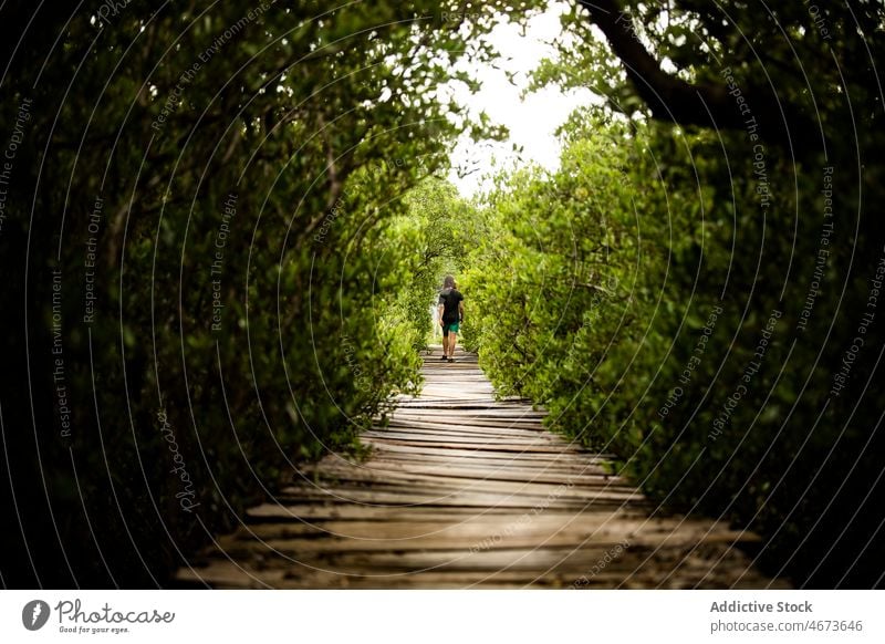 Unrecognizable traveler walking on boardwalk tourist pathway walkway tree rest leisure nature journey footpath stroll environment wooden summer lush explore