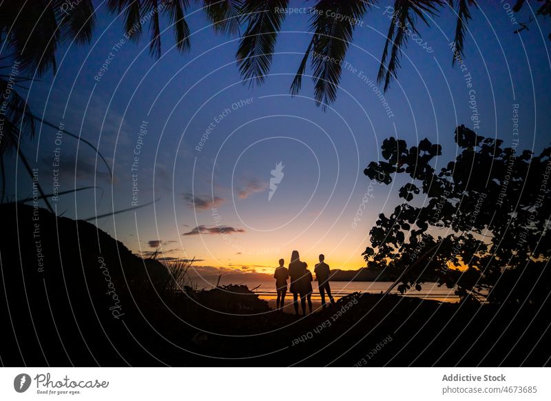 Anonymous people on shore at sunset time tourist resort beach rest coast tropical sea nature sundown evening dark obscure murk silhouette water plant summer