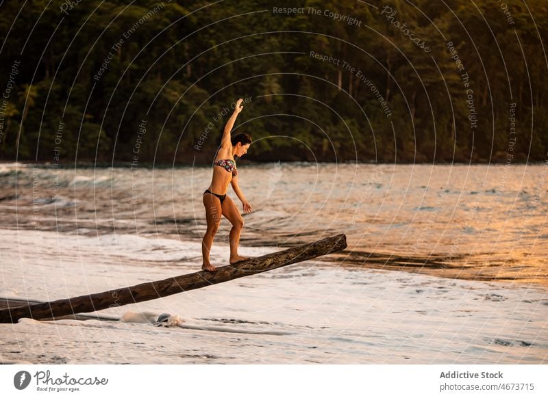 Woman in bikini standing on log on seashore woman tourist sundown vacation ocean resort traveler recreation female journey relax dusk shirtless shallow twilight