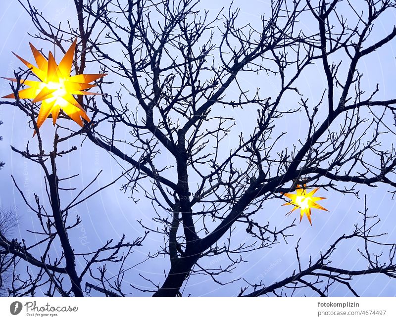 Two large shining star lanterns in a bare tree christmas time stars Tree Bleak Sky Stars starlit Light Illuminate Winter advent season Christmas & Advent