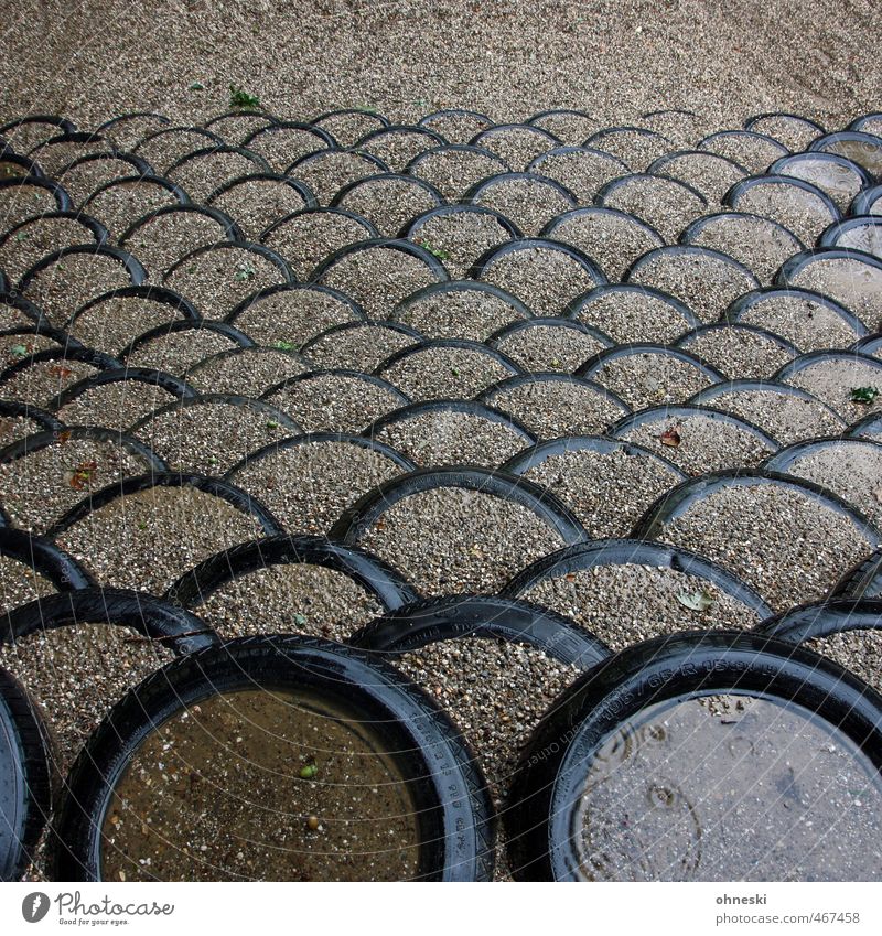 Bridges bau´n Autumn Bad weather Rain Tire Sand Arch Network Attachment Colour photo Subdued colour Exterior shot Abstract Pattern Structures and shapes