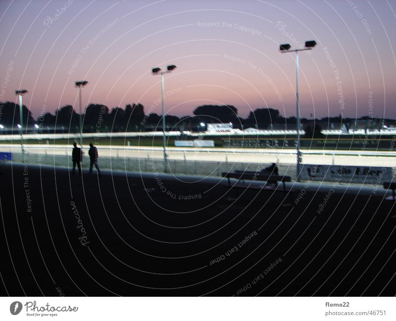 trotting track Twilight Sporting event Racecourse Floodlight