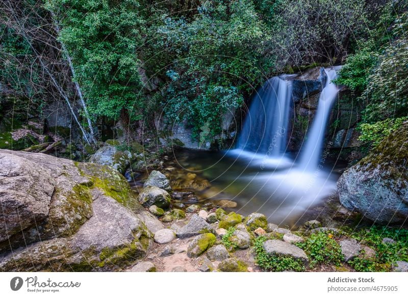 Fast waterfall flowing through mountain cascade river tree nature rock forest cliff rapid stone scenic wild lush summer green environment rocky scenery high