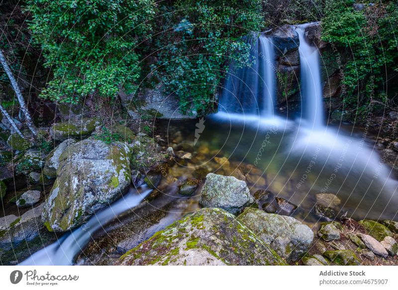 Fast waterfall flowing through mountain cascade river tree nature rock forest cliff rapid stone scenic wild lush summer green environment rocky scenery high