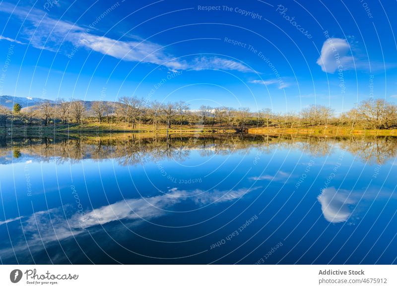 Lake near grassy shore in nature lake water lakeside tree landscape coast waterfront plant summer green environment scenery river growth vegetate aqua wet